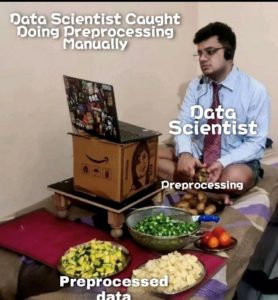 Data Scientist